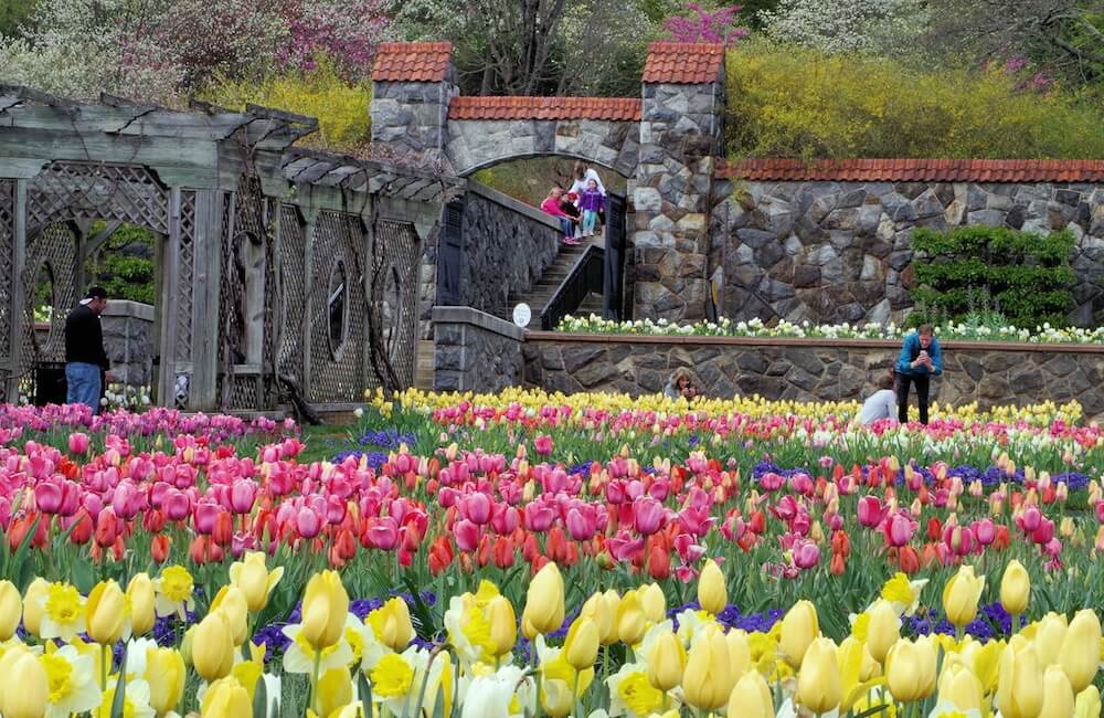 Easter Weekend in Asheville