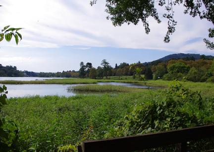 Blue Ridge Audubon's Bird Santuary at Beaver Lake, Asheville