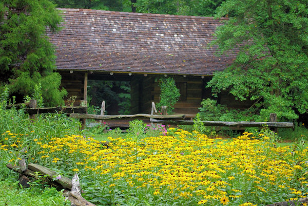 Historic home at Botanical Gardens of Asheville