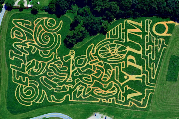 Asheville Eliada Corn Maze