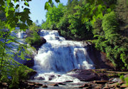 DuPont State Forest