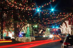 Forest City Christmas Lights