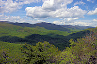 Pisgah National Forest