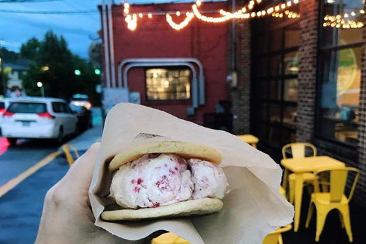 Sunshine Sammies Asheville