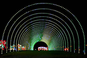 Tryon Christmas Lights